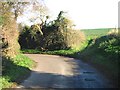 Bend in road and footpath towards East Street