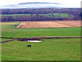 View across the fields to  Kingcausie Estate on the south side of the river Dee