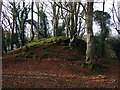 Motte, Castell Nanhyfer