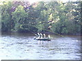 Four men in a boat