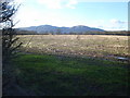 Stubble field near South Wood