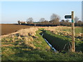 Looking along dike towards Hill Farm