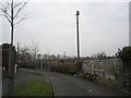 Telegraph Pole in Ashwood Close