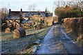 Backs of Cottages at Lealholm