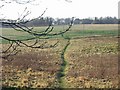 Footpath to Shepherdswell