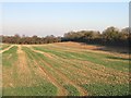 Field near Eythorne