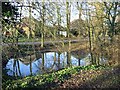 Pond on Church Road, Coldred