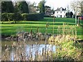 Pond and village green