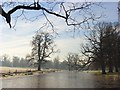 Standing water, Swallowfield Park