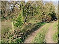 Footpath from Little Mongeham