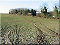 Footpath across the fields at Little Mongeham