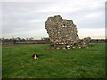 O1570 : Ruined tower, Corballis, Co. Meath by Kieran Campbell