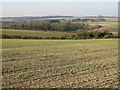 View across fields to Little Mongeham