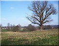 Looking towards Tisbury