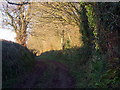 Farm lane in winter