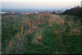 From the footpath on Slyborough Hill