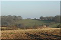 2007 : Farmland near Tellisford