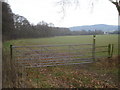 Footpath to Colwall Stone