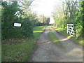 SW5432 : The lane to North Treveneague farm by David Medcalf