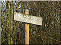 No Hammers Please, Dudley, Worcestershire