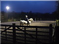 Bryngwyn Riding Centre - riding lessons in winter