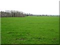 Land near Clarkestown