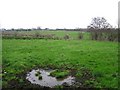 Land near Ballymacilroy