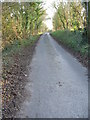 View along Singledge Lane in the direction of Whitfield