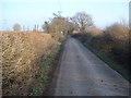 Lane to Broadacres Farm