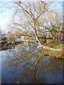 Longford River Outflow