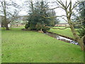 Tributary of Edingley beck