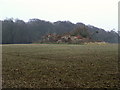 TA1735 : Roe Hill Farm (ruin) by Andy Beecroft