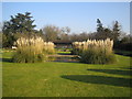 Canons Park: The George V Memorial Garden