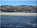 Frosty Fields at Lower Stepford