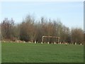 Goalposts on Bushbury Hill