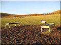 NU0215 : Livestock field by Walter Baxter