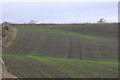 Field near Gellyburn