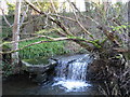 Waterfall on Wooley Burn