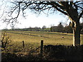 Pastures near Thornley Gate