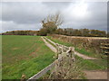SO3814 : Farm track to Pen-y-coed by Jonathan Billinger