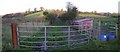 Mucky entrance, Ballynamullan