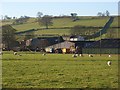 Pastures above Caldbeck