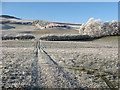 Frosted fields