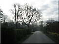 Looking southwards down Wade Court Road