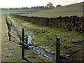 Stream and pasture, Carleton