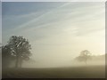 Misty farmland, Hollandridge