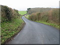 Looking NW along Love Lane