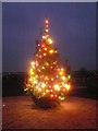 New Tupton - Village Christmas Tree 2007