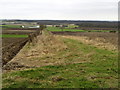 A Green Lane to the A1034