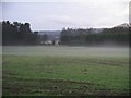 Mist in the field, Halleaths